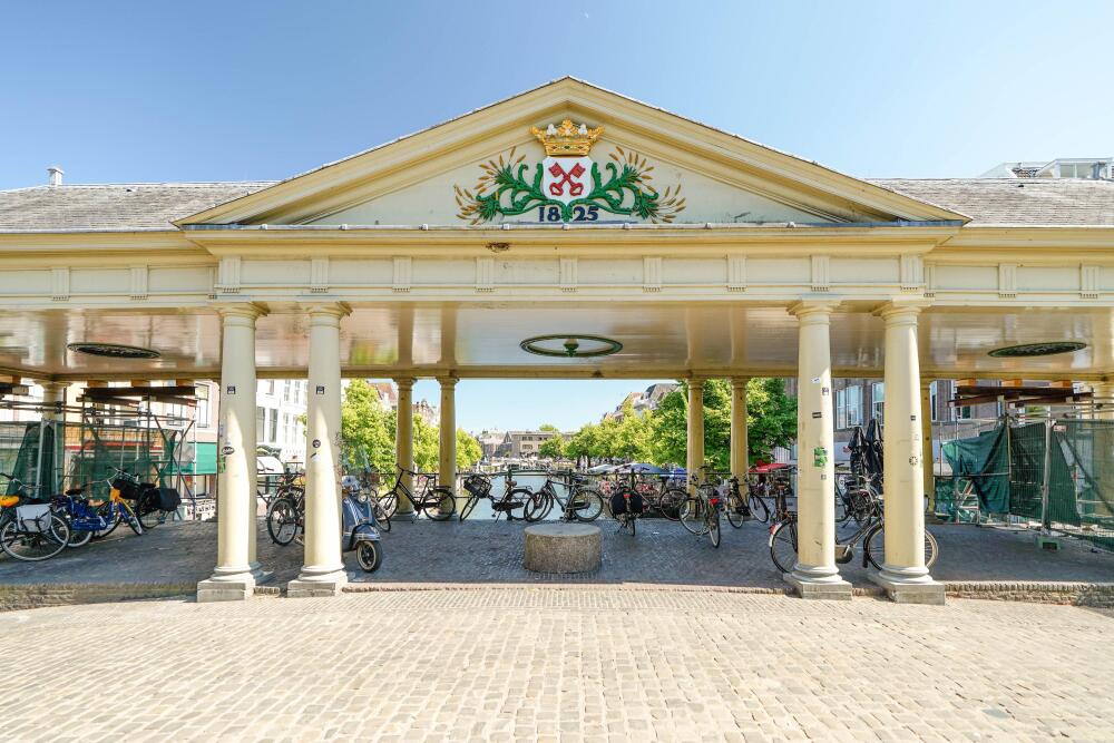 Foto 80 1000w