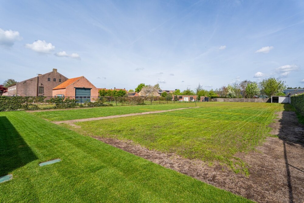 Foto 68 1000w