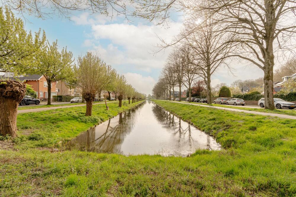 Foto 47 1000w
