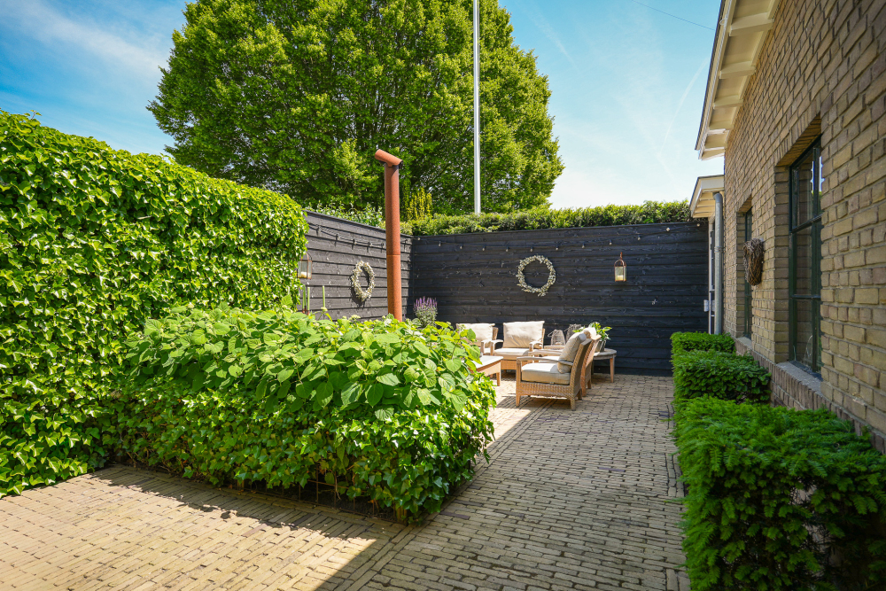 Foto 48 1000w