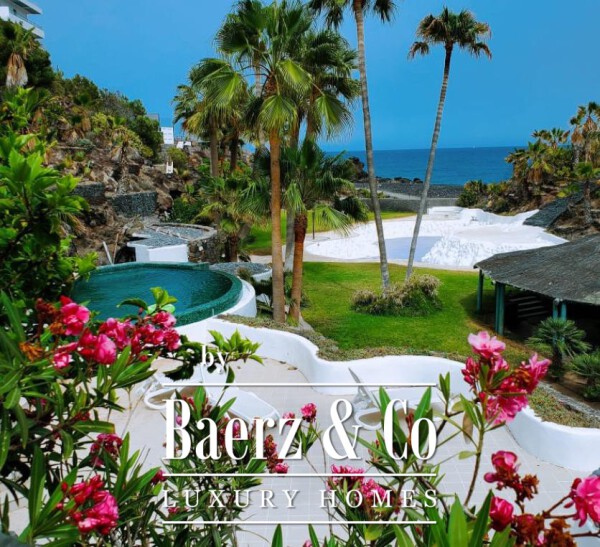 photo 2 Private oasis in the south of Tenerife