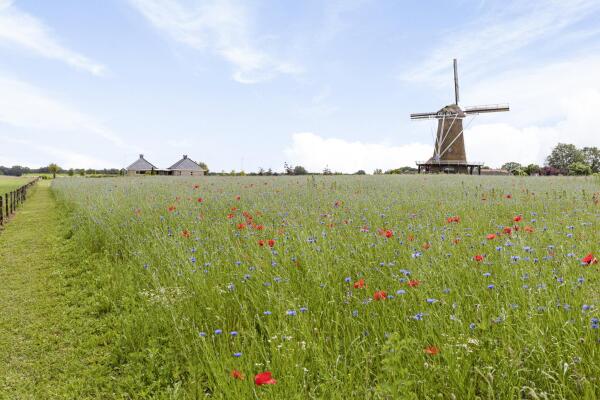 Video Diepenheimseweg 25 a