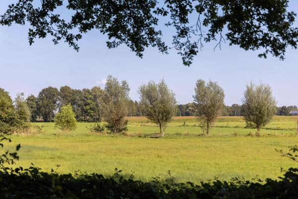 photo 5 Hupselse Esweg 3