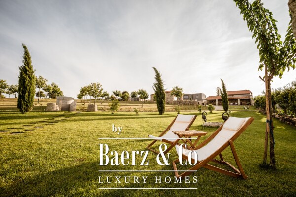 photo 20 Farm T7 in Redondel, Chaves