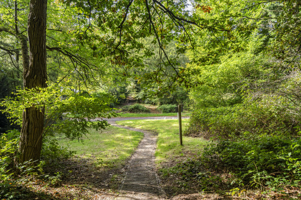 photo 46 Pinkenbergseweg 37