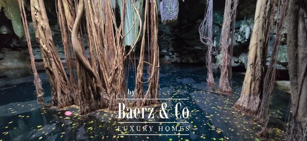 photo 4 18th Century Hacienda with Cenote and 403 acres!