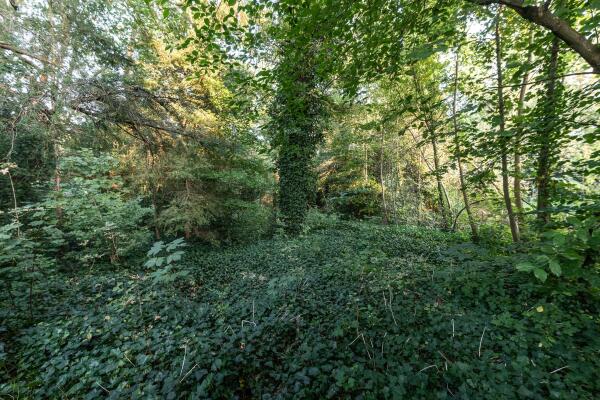 photo 6 Wikkelaan 0 ong