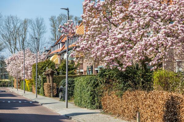 photo 85 Jan van Ghestellaan 42