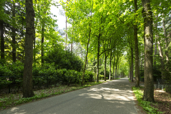 photo 27 Hondsbergselaan 3