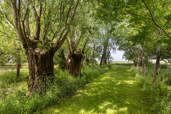 photo 59 Hoofdweg 34