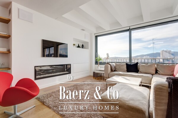 photo 5 Outstanding Duplex Penthouse with 2 terraces & garage