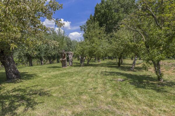 photo 2 Schaardijk 482 K001