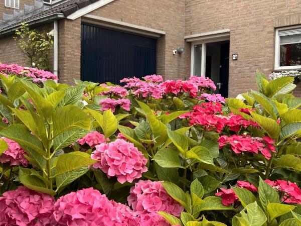 photo 15 Lijsterlaan 2 b