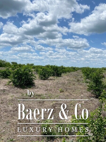 photo 25 Street 24 x 29 