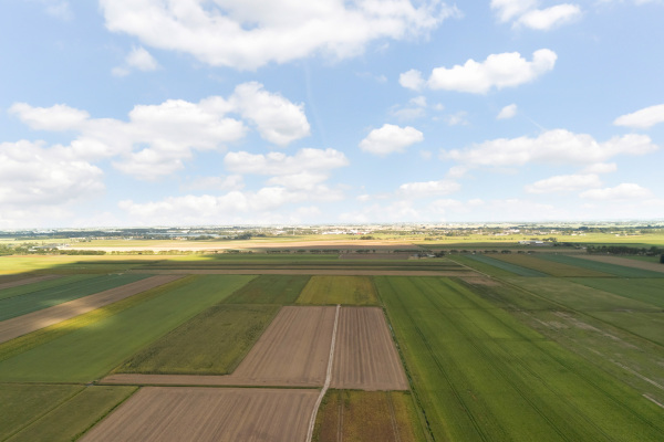 photo 70 Weteringpad 35