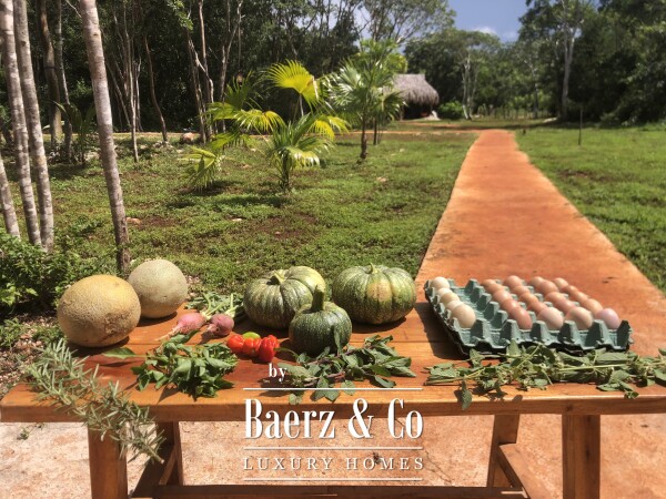 photo 17 A Private Yucatán Estate - villa, tower suite, guest casita, medicinal garden, orchard and more