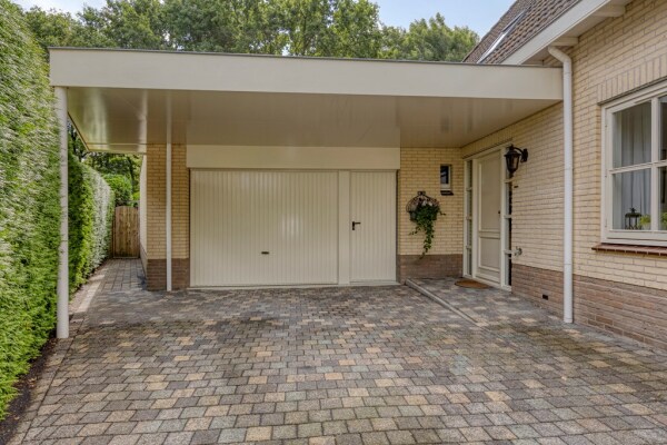 photo 9 Bilzekruid 11