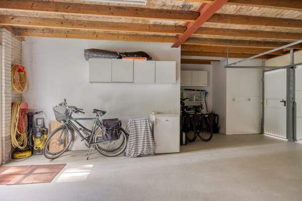 photo 51 Bilzekruid 11