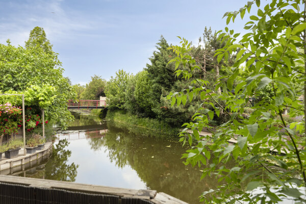 photo 51 Oltmansstraat 17