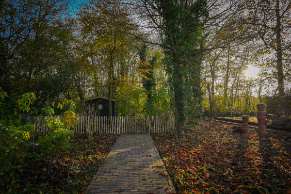 photo 61 Korfgraaf 24