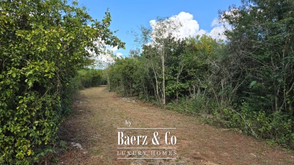 photo 4 Sagrado - Valladolid 