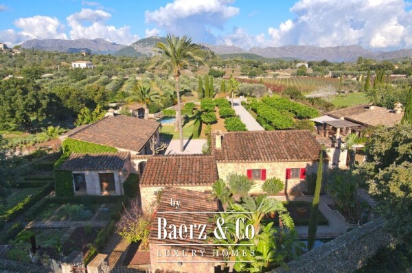 photo 6 Exclusive Wine Estate with Bodega, Olive Grove and 10 Hectares of Private Forest