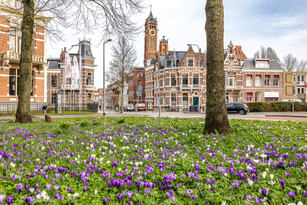 photo 66 Praediniussingel 20 24