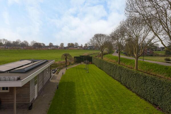 photo 57 Timotheegras 13