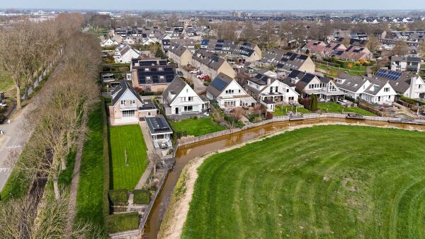 photo 59 Timotheegras 13