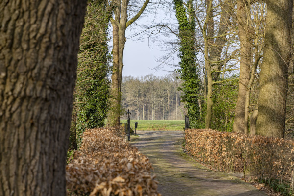 photo 6 Lubberdinksweg 15