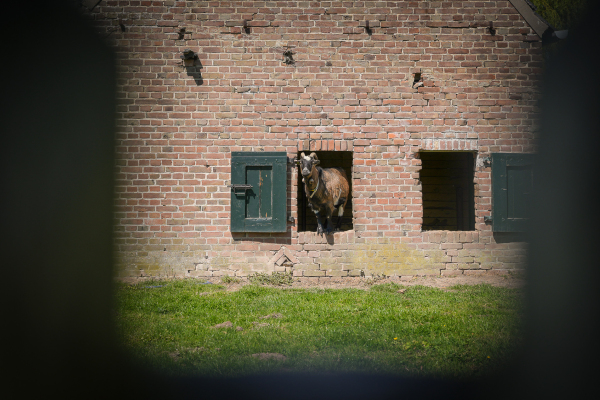 photo 44 Molenstraat 31