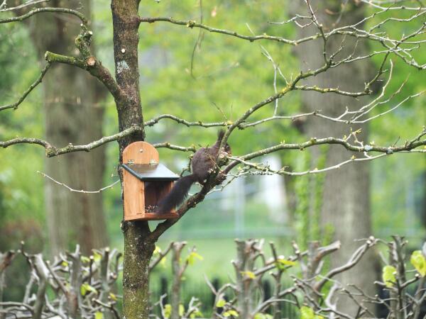 photo 58 Oosterbrink 5